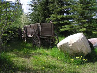 wagons